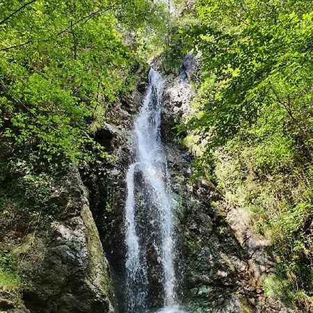 Il Bosco Di Campo Marzano Garden Διαμέρισμα *
