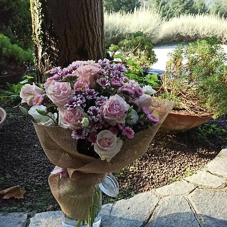 Διαμέρισμα Il Bosco Di Campo Marzano Garden Borzonasca