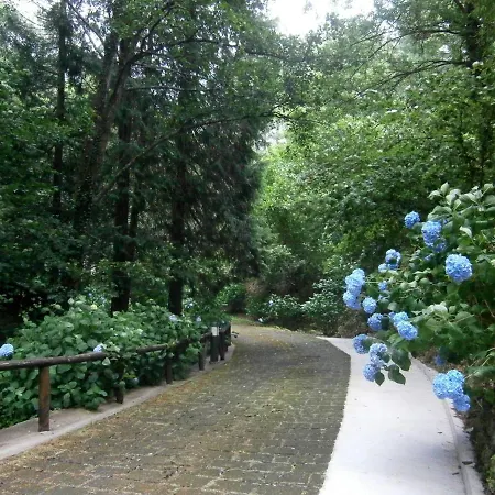 Il Bosco Di Campo Marzano Garden Borzonasca
