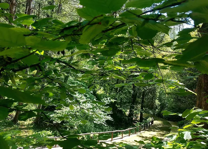 Il Bosco Di Campo Marzano Garden