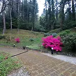 Il Bosco Di Campo Marzano Garden * Borzonasca