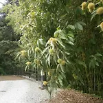 Il Bosco Di Campo Marzano Garden Appartamento