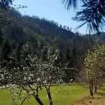 Il Bosco Di Campo Marzano Garden Apartment