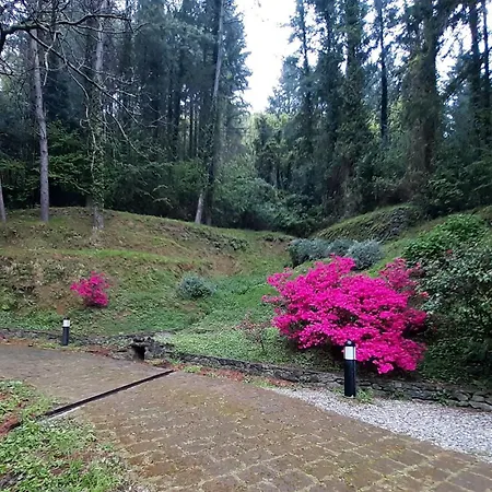 Il Bosco Di Campo Marzano Garden *
