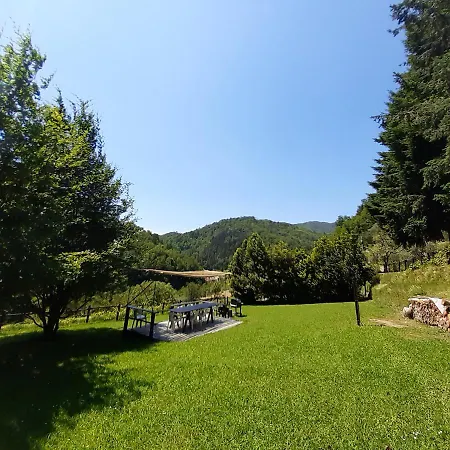 Il Bosco Di Campo Marzano Garden