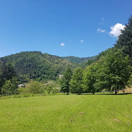 Il Bosco Di Campo Marzano Garden * Borzonasca