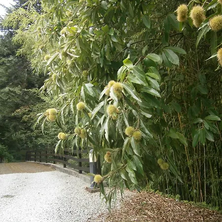 Il Bosco Di Campo Marzano Garden Appartement