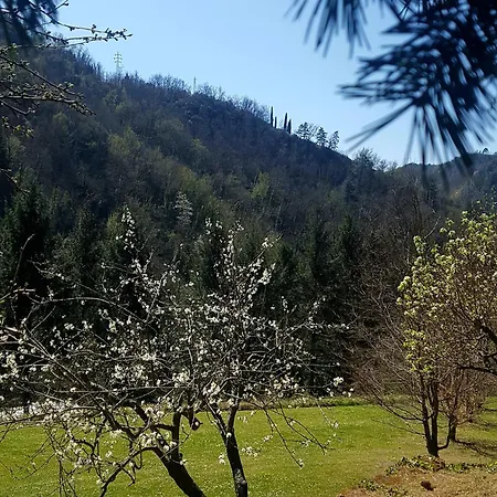 Il Bosco Di Campo Marzano Garden Daire
