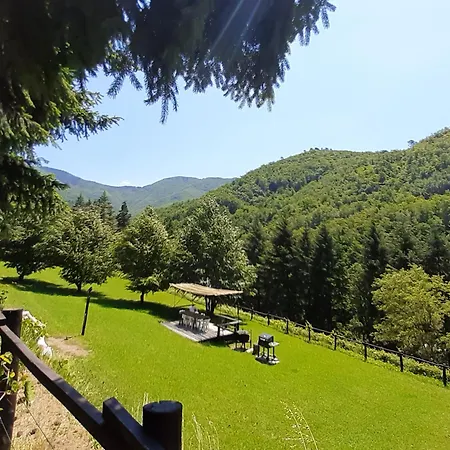 Il Bosco Di Campo Marzano Garden