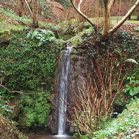 Daire Il Bosco Di Campo Marzano Garden