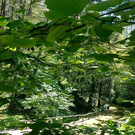 Il Bosco Di Campo Marzano Garden
