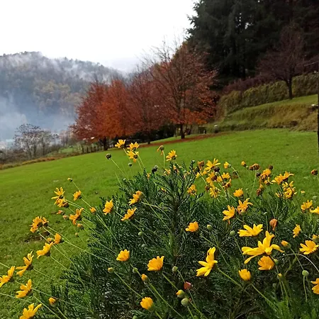 Il Bosco Di Campo Marzano Garden *