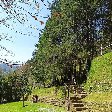 Il Bosco Di Campo Marzano Garden Borzonasca