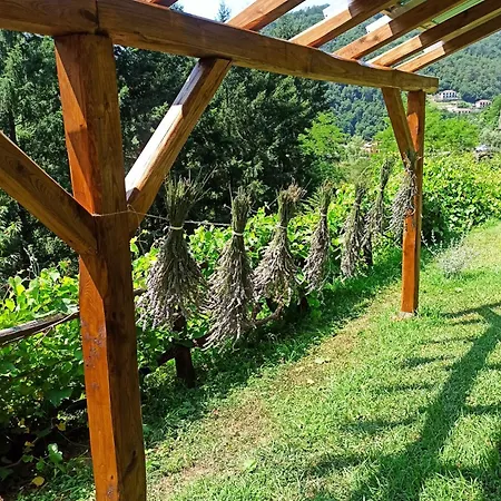 Daire Il Bosco Di Campo Marzano Garden Borzonasca