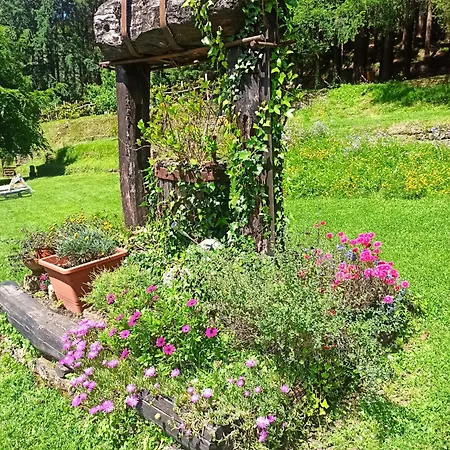 Daire Il Bosco Di Campo Marzano Garden Borzonasca