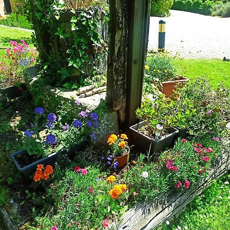 Daire Il Bosco Di Campo Marzano Garden Borzonasca