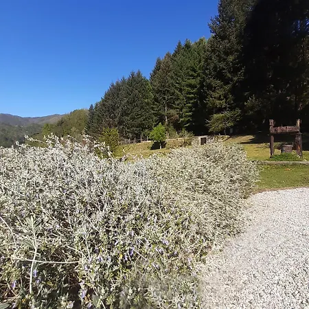 Il Bosco Di Campo Marzano Garden Borzonasca