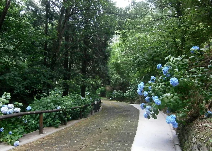 Apartment Il Bosco Di Campo Marzano Garden Borzonasca