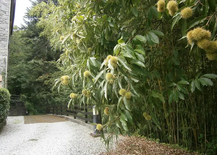 Il Bosco Di Campo Marzano Garden Lejlighed