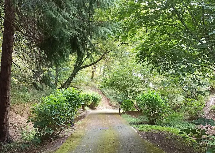 Il Bosco Di Campo Marzano Garden * Borzonasca
