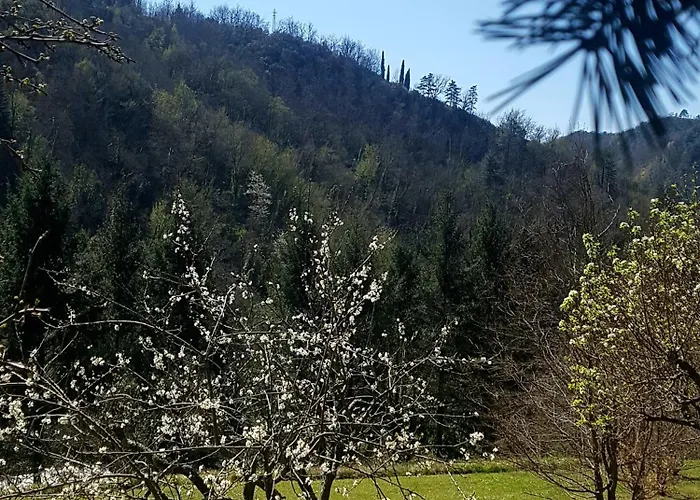 Il Bosco Di Campo Marzano Garden Lejlighed