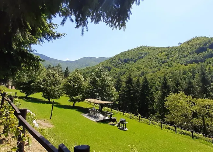 Il Bosco Di Campo Marzano Garden