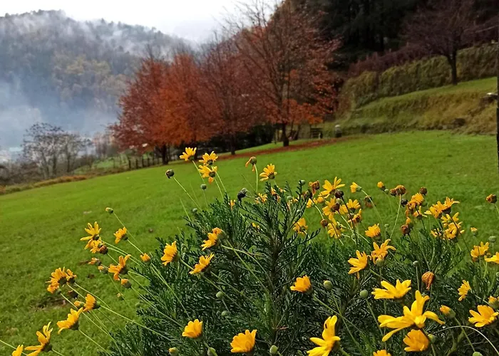 Il Bosco Di Campo Marzano Garden *