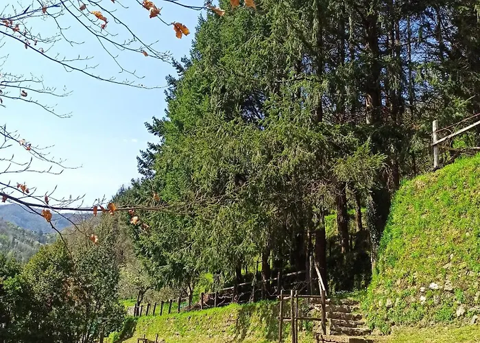 Il Bosco Di Campo Marzano Garden Borzonasca