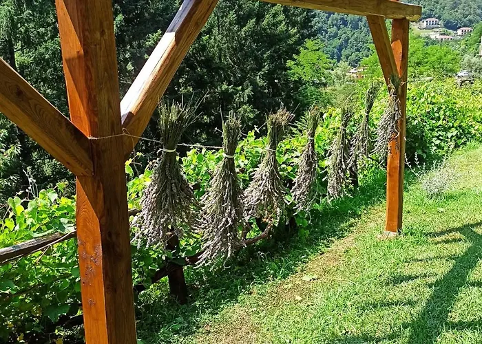 Lejlighed Il Bosco Di Campo Marzano Garden Borzonasca