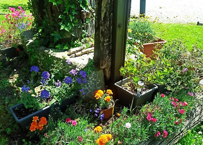 Lejlighed Il Bosco Di Campo Marzano Garden Borzonasca